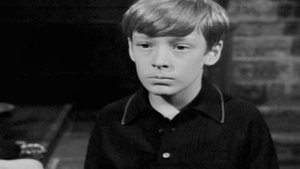 Dark Shadows 35. epizoda