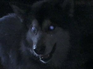 Are You Afraid of the Dark? 7. epizoda