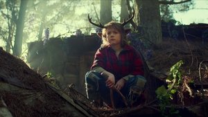 Sweet Tooth: Chlapec s parožím Ven z lesů