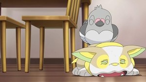 Pokémon Yamper má konkurenci