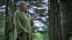 Nevyjasněné záhady UFO z Berkshire