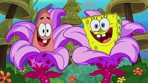 SpongeBob v kalhotách Výlet ananasem