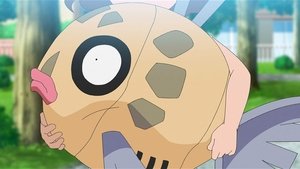 Pokémon Míra roztomilosti