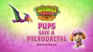 Tlapková patrola Dino záchrana: Tlapky zachraňují pterodaktyla