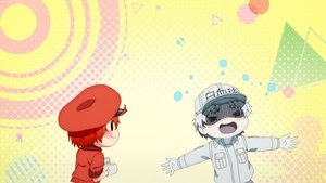 Hataraku saibou 1. epizoda