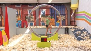 Big Brother 33. epizoda