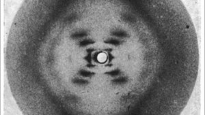 NOVA 16. epizoda