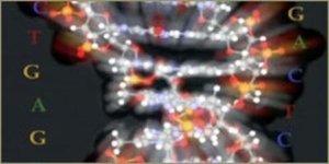 NOVA 16. epizoda