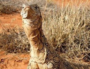 NOVA 3. epizoda