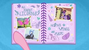 Můj malý Pony: Přátelství je magické 24. epizoda