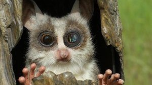 Nature 7. epizoda