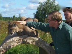 Trailer Park Boys 6. epizoda
