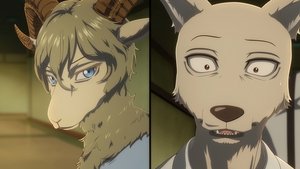 BEASTARS Nezapomenutelná sladkost