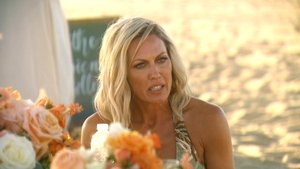 The Real Housewives of Orange County 14. epizoda