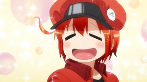 Hataraku saibou 6. epizoda