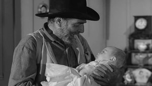 Wagon Train 35. epizoda