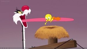 Looney Tunes: Animáky 40. epizoda