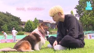 Run BTS! 13. epizoda