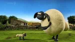 Ovečka Shaun Ten nám ale vyrostl!