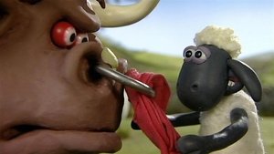 Ovečka Shaun Býk
