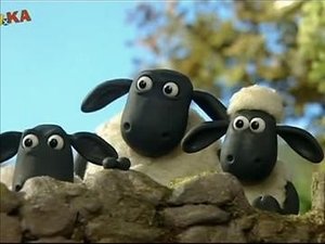 Ovečka Shaun Bitzer zasahuje