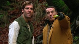 Quantum Leap 19. epizoda