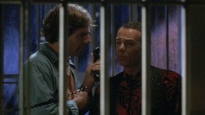 Quantum Leap 19. epizoda