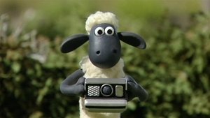 Ovečka Shaun Shaun v ráži
