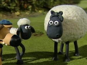 Ovečka Shaun Farmářova neteř