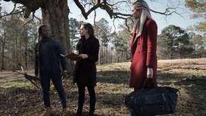 Odkaz Všechny malivorské stvůry poskytují emocionální vhled?