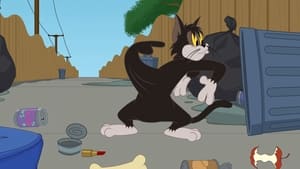Show Toma a Jerryho Kost splněných přání
