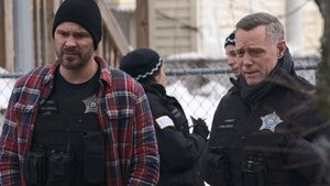 Policie Chicago 10. epizoda
