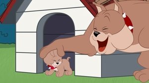 Show Toma a Jerryho Psí počasí