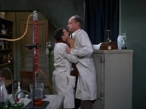 Hogan's Heroes 12. epizoda