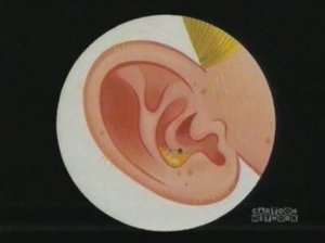 Dexterova laboratoř 13. epizoda