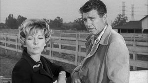 Perry Mason 11. epizoda