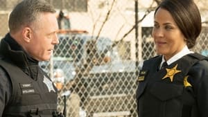 Policie Chicago 12. epizoda