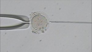 NOVA 8. epizoda