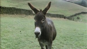 Last of the Summer Wine 4. epizoda