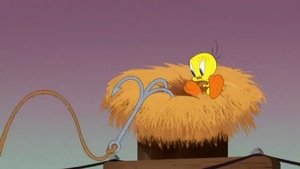 Looney Tunes: Animáky 87. epizoda