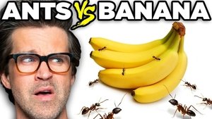 Good Mythical Morning 80. epizoda