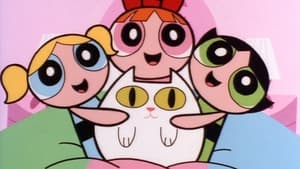 The Powerpuff Girls 19. epizoda