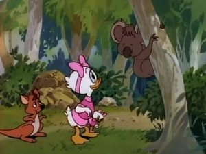 Kačeří příběhy Bušení v buši