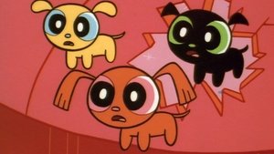 The Powerpuff Girls 1. epizoda