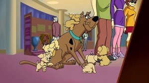 Co nového, Scooby-Doo? Výstava psů