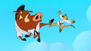 Timon a Pumbaa Souboj v džungli