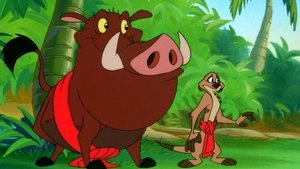 Timon a Pumbaa Bafuňa macatá