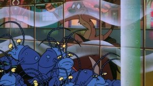 Timon a Pumbaa Vegas není pro nás