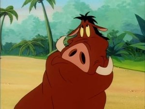 Timon a Pumbaa Nespavec v říši divů