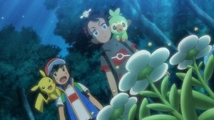 Pokémon Hledání bílé květinky!